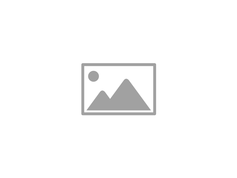 SCF-BVM 1